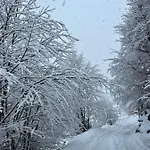 North Alpine