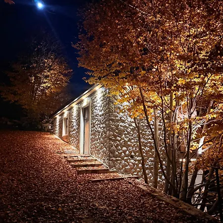 North Alpine Ferienhaus *