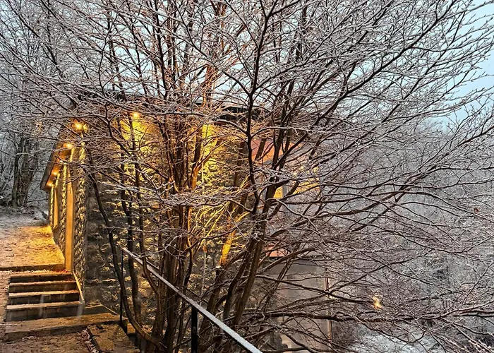 North Alpine Holiday home Boge