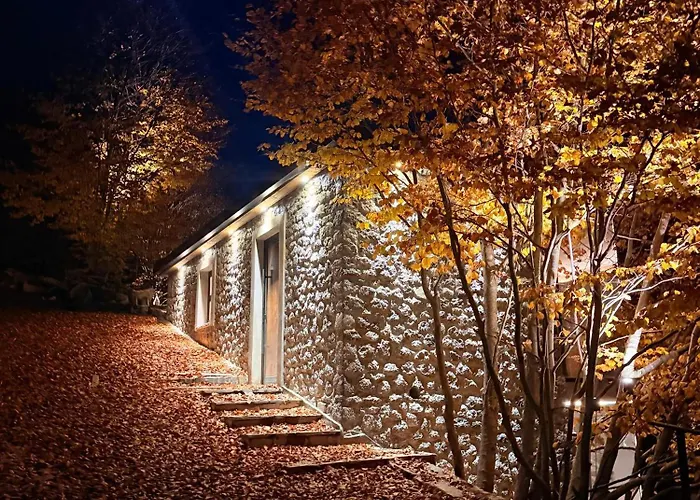 North Alpine Holiday home *