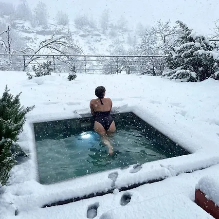 North Alpine Дом отдыха *