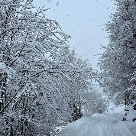 North Alpine